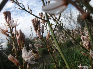 zzena-11-03-2013 08-51-39